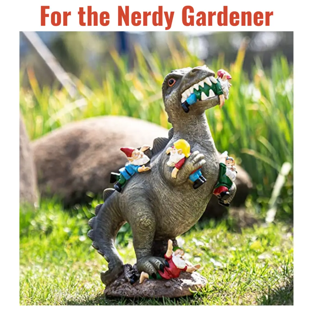 video game girl valentines gift garden gnome dinosaur