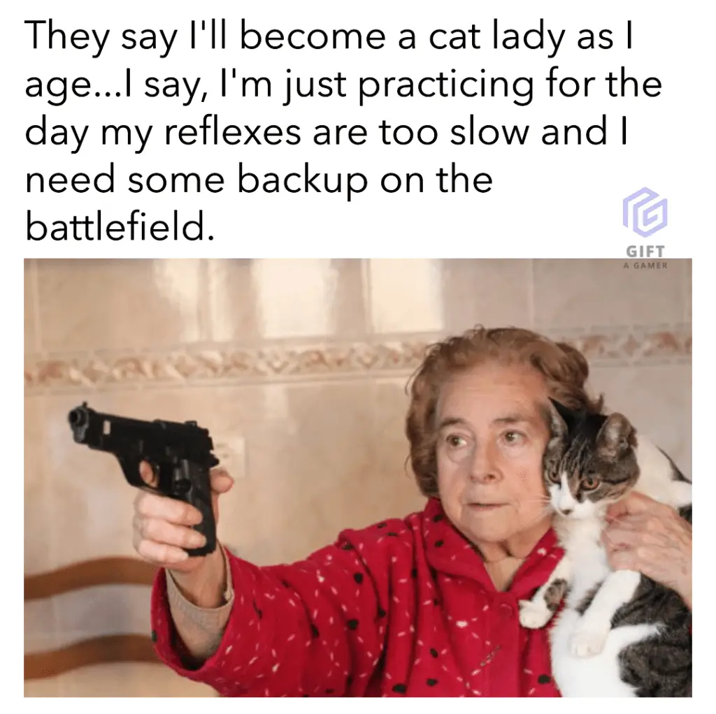 cat lady backup battlefield gamer meme